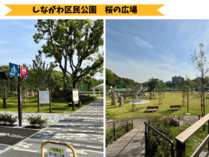 しながわ区民公園　桜の広場